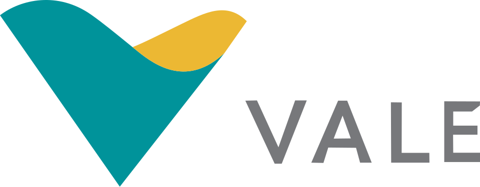 Vale Saúde